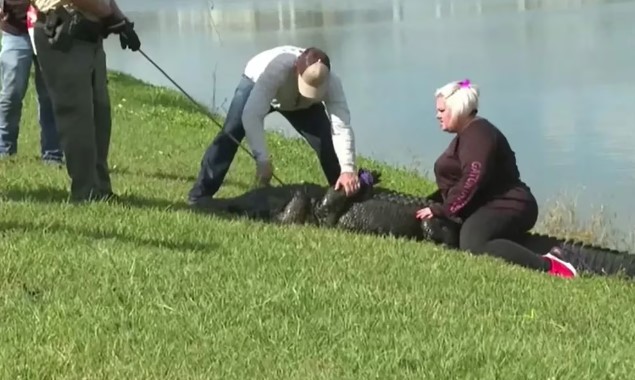 El reptil atacó al perro de la anciana. Ella al intentar salvar a su mascota, falleció por las heridas provocadas por el caimán