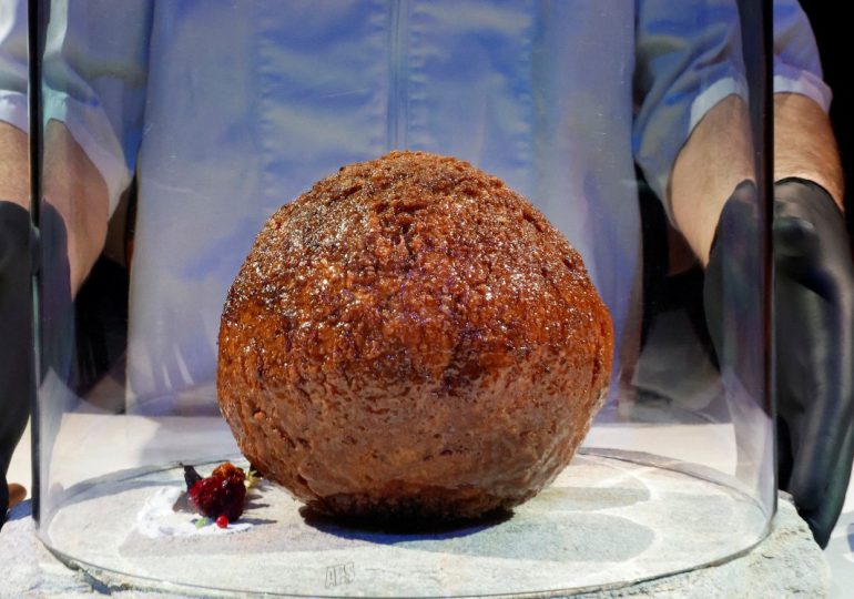 Científicos crearon una albóndiga gigante de carne cultivada de mamut