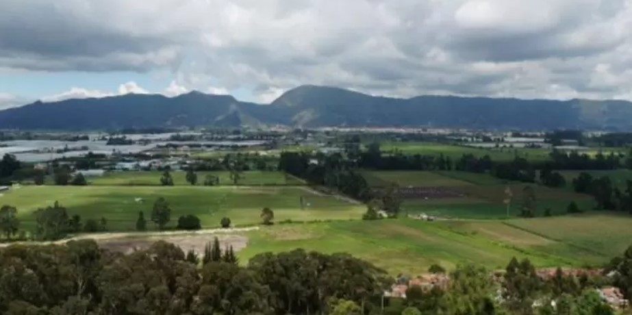 Intervendrán la reserva Van der Hammen para ampliar una avenida