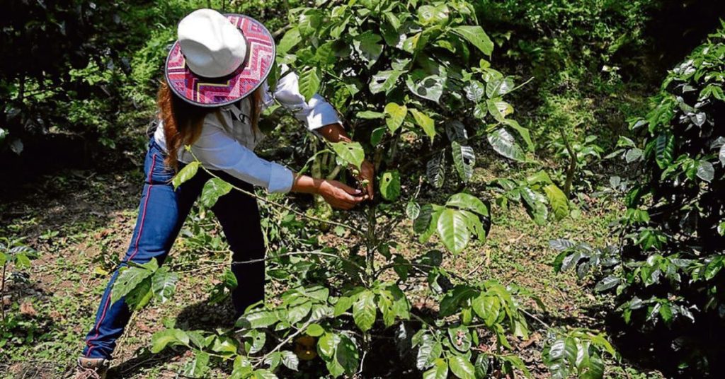 Presidente Gustavo Petro desmiente supuesta "expropiación express" en el Plan Nacional de Desarrollo