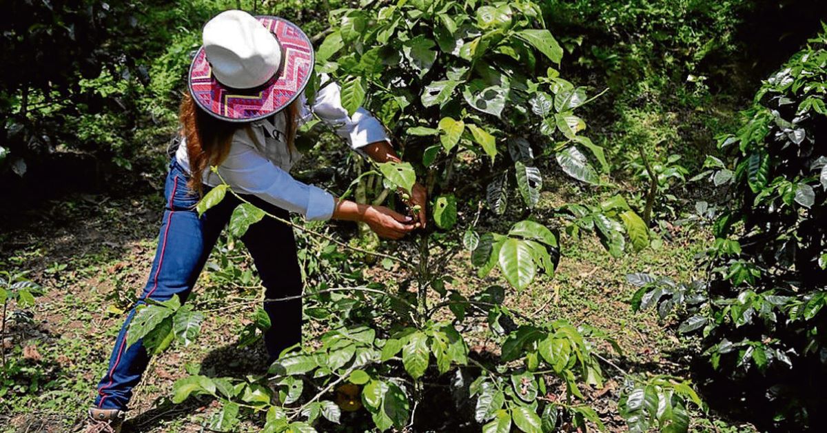 Presidente Gustavo Petro desmiente supuesta "expropiación express" en el Plan Nacional de Desarrollo
