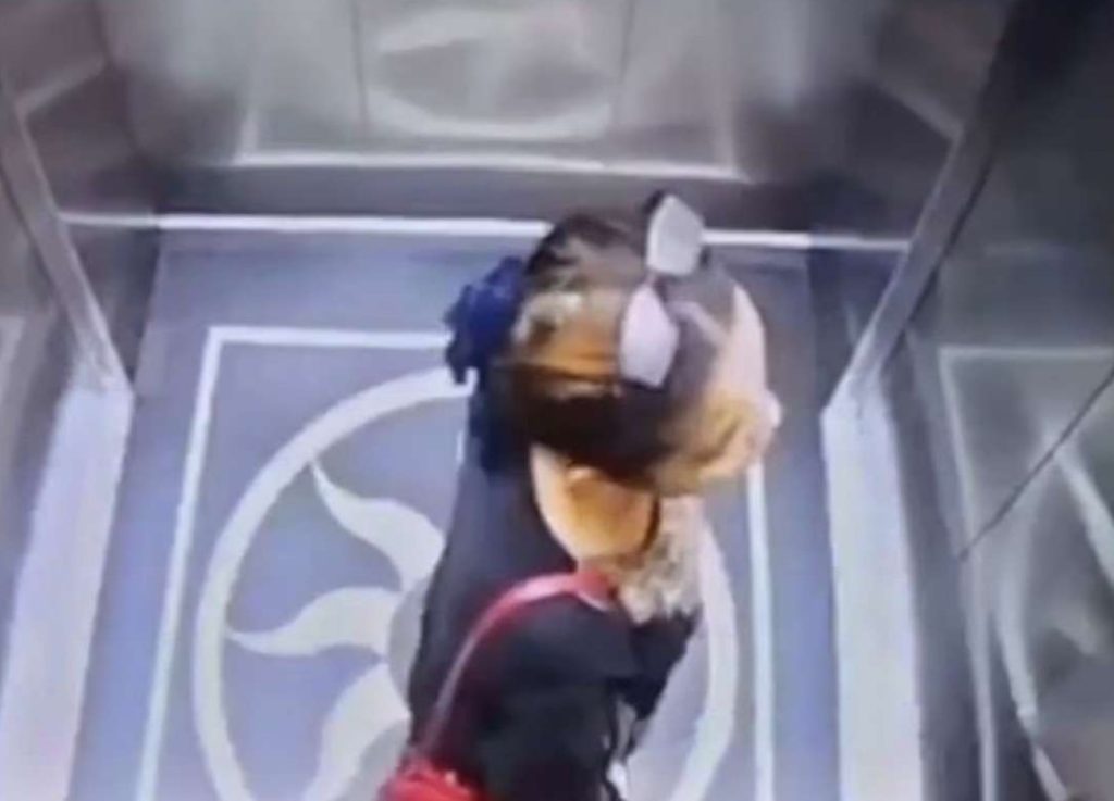 Mujer cae en hueco de ascensor y la encuentran tres días después