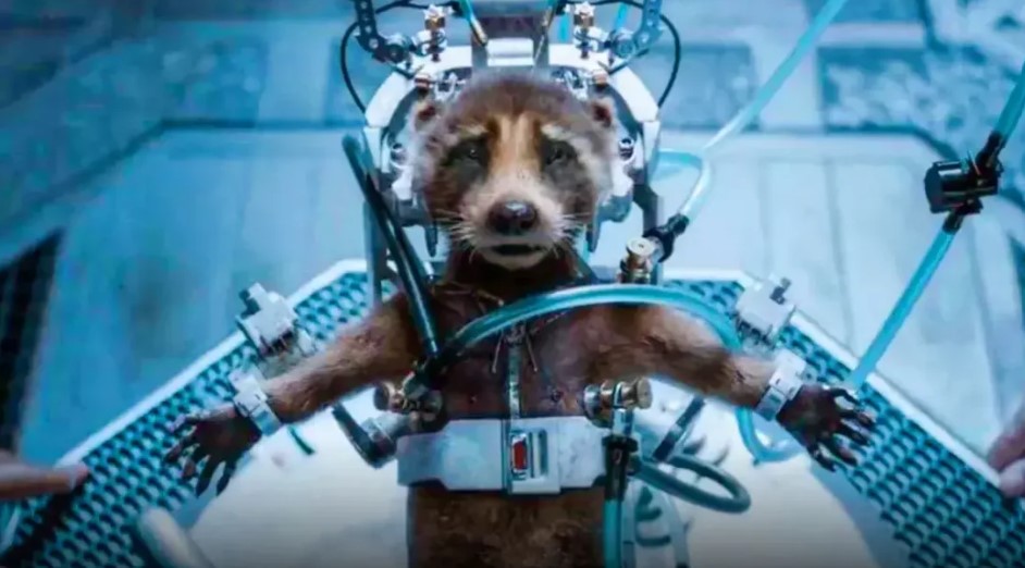 PETA premia a James Gunn por mensaje contra la crueldad animal en "Guardianes de la Galaxia Vol. 3"