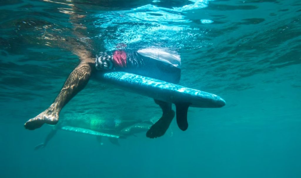 Un tiburón atacó a un surfista y sólo aparecieron restos de su tabla y su traje