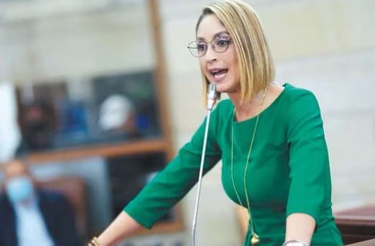 El 20 de julio de 2021, Jennifer Arias fue elegida presidenta de la Cámara de Representantes. Luego del escándalo por su presunto plagio, no volvió a aspirar al legislativo. / Congreso