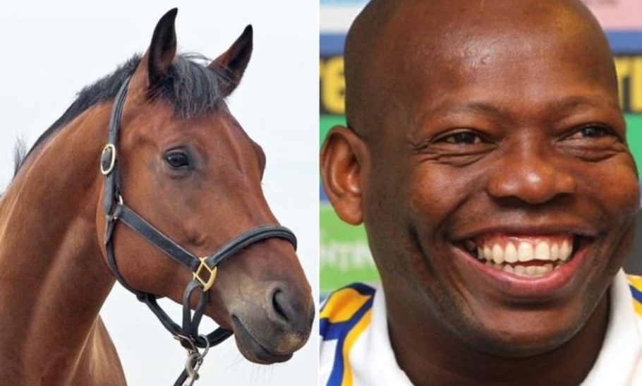 'Tino' Asprilla blanco de críticas en redes por crueldad animal en la cabalgata de Tuluá