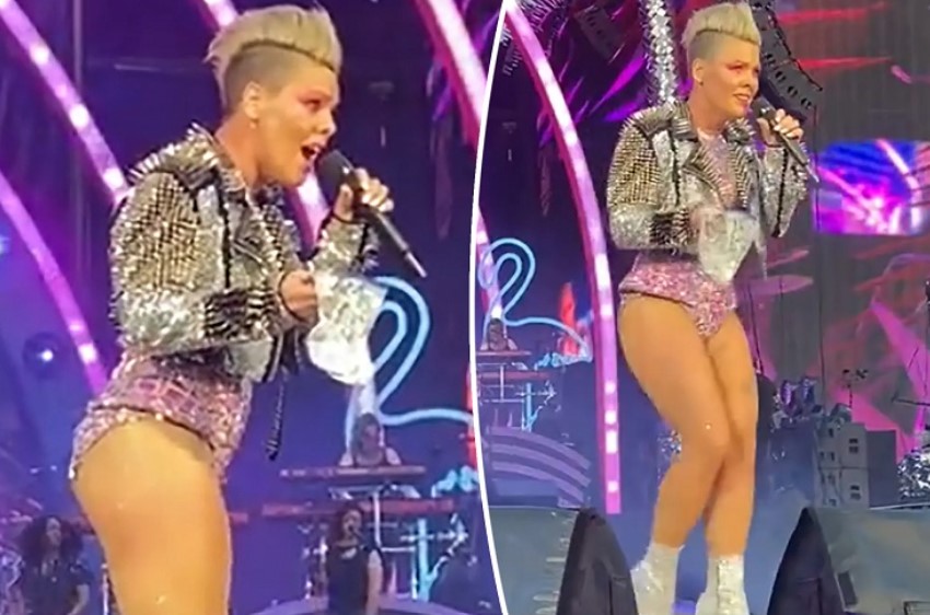 Pink no supo qué hacer cuando lanzaron cenizas de un muerto al escenario