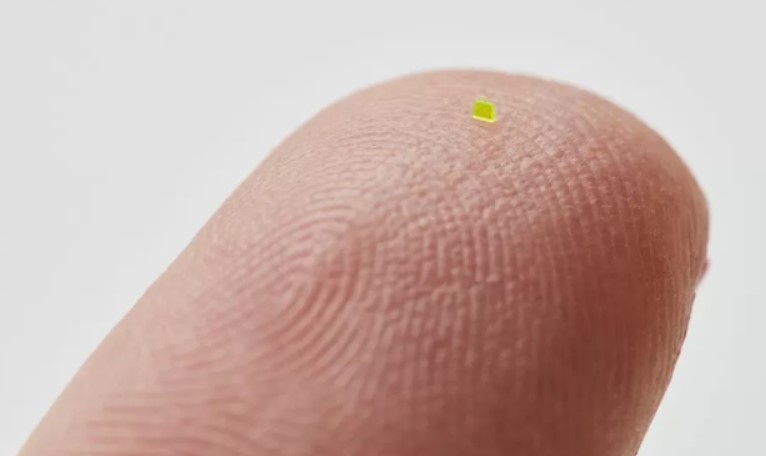 El bolso más caro del mundo es más pequeño que un grano de sal