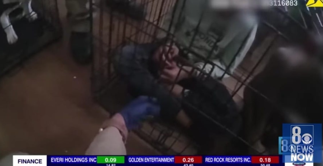 Seis niños encerrados en jaulas dentro de un apartamento fueron rescatados por la policía