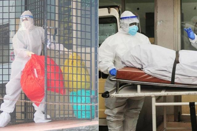Nipah: así actúa en el cuerpo humano el virus que ha tenido en alerta a India