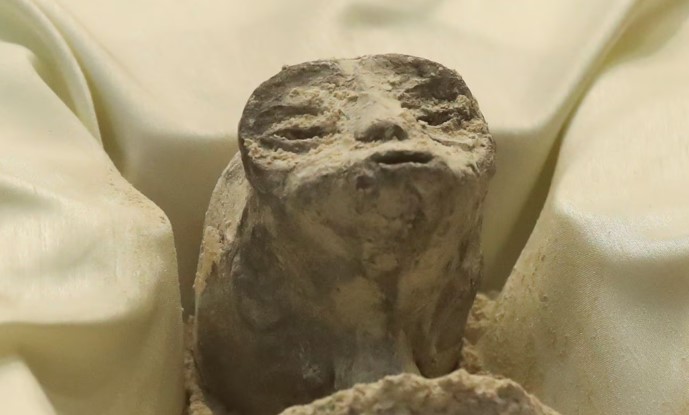 Video: Periodista mexicano mostró "seres no humanos" ante el Congreso de ese país