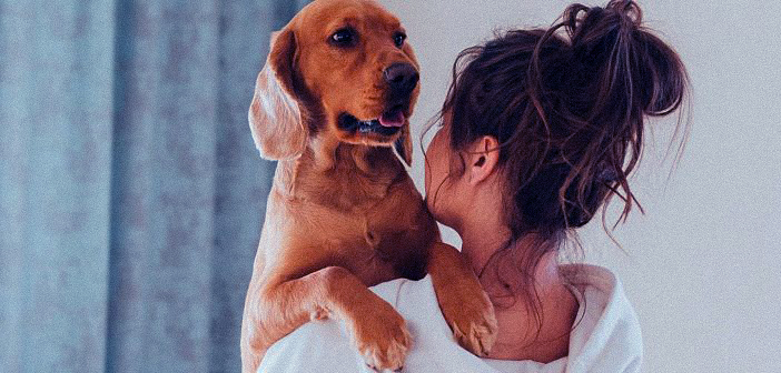 Legalmente, ¿es el perro un miembro de la familia?