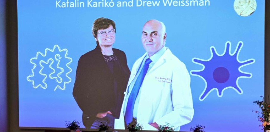 Investigadores pioneros en vacunas de ARN mensajero ganan Premio Nobel