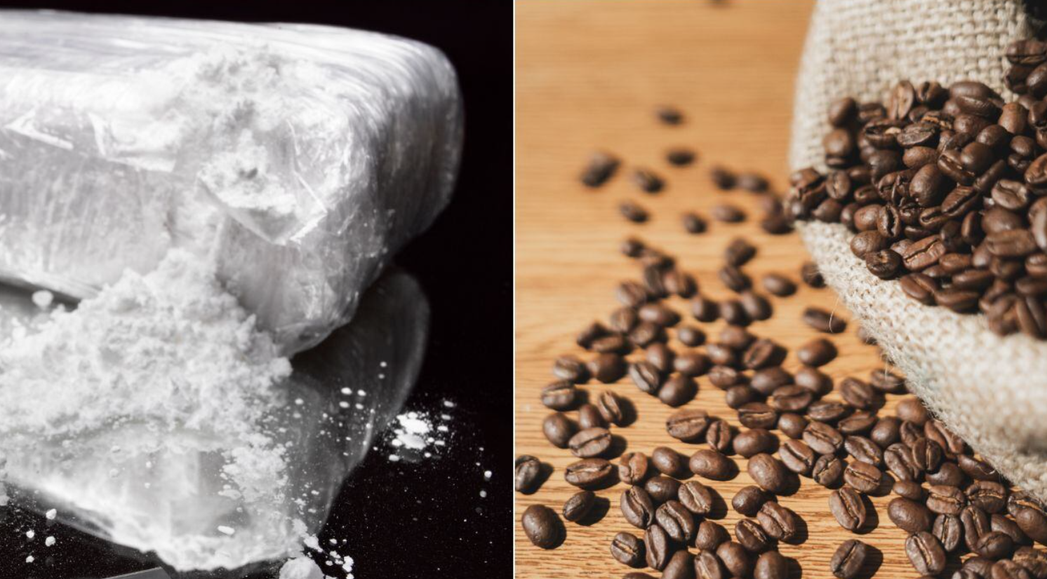 Cocaína camuflada en café: la incautación que provocó la caída de una red de narcotráfico