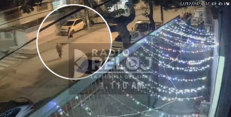 Cámaras de vigilancia captaron últimos momentos de vida de Michel Dayana, la quinceañera asesinada en Cali