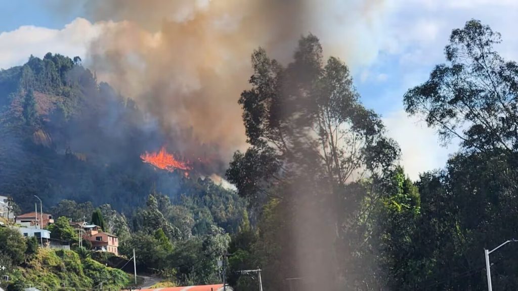 Incendio forestal en la vereda El Chuscal de Sopó Foto: Semana