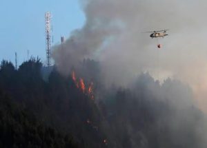 Así van los incendios en los cerros orientales de Bogotá