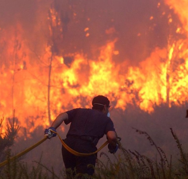 Colombia en llamas: 31 incendios forestales estarían activos en todo el país