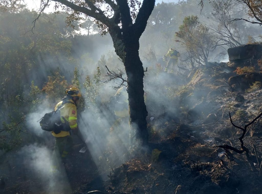 ¿Cuál fue la causa de los incendios en Bogotá? esto dijo Galán