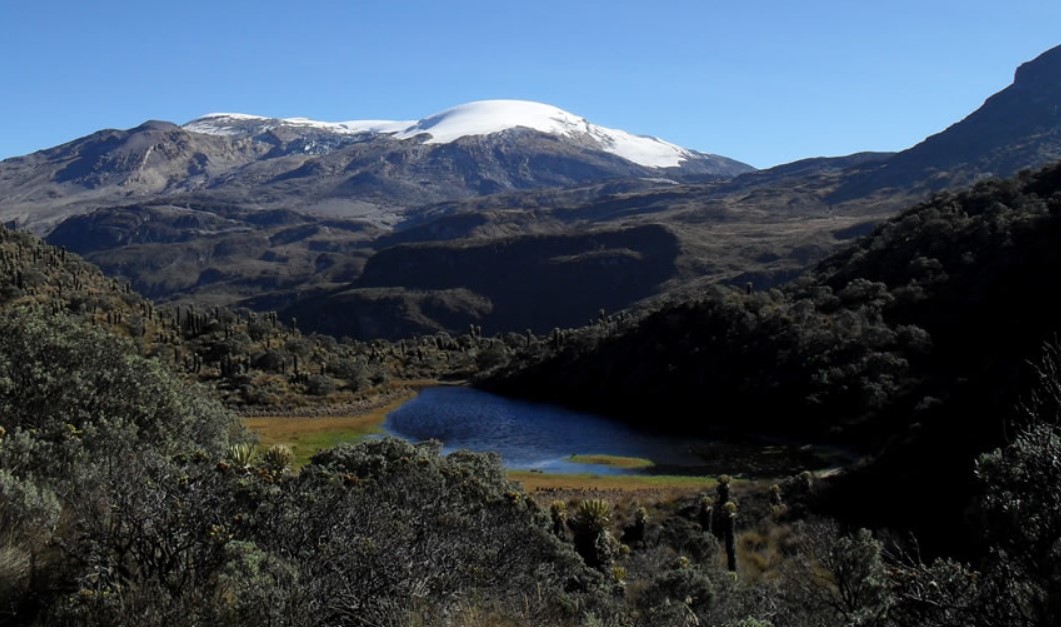 Por aumento en incendios forestales piden prohibir ingreso a Parque Los Nevados