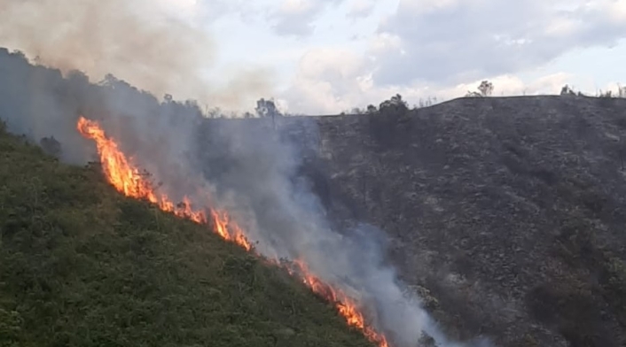 143 incendios forestales en 17 departamentos. Foto: lafm