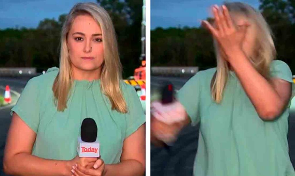 Reportera atacada por mosquitos se abofetea durante transmisión en vivo