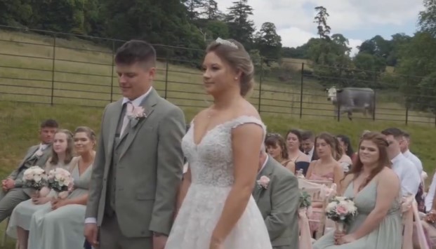 Una vaca interrumpe boda en medio de crucial pregunta