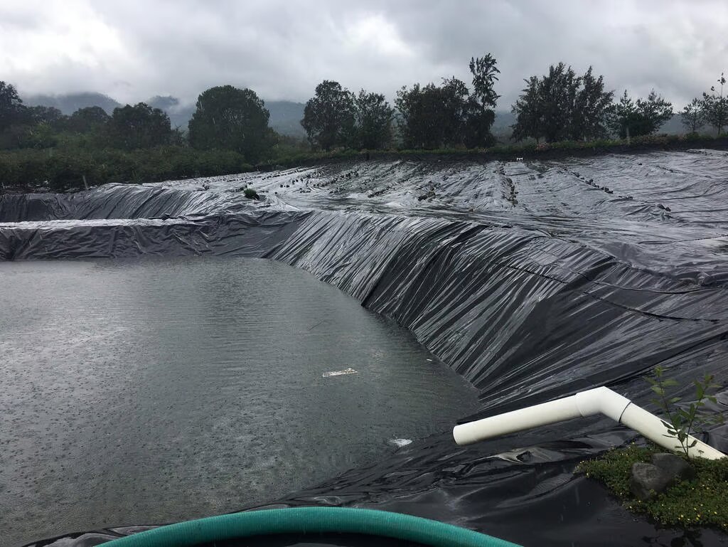 La demanda de agua aumentará constantemente. Foto: EFE