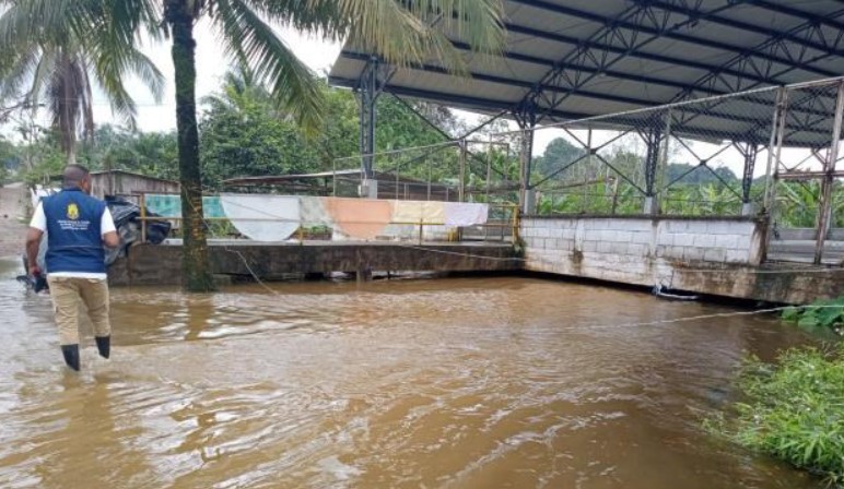 Crecida del Río Baudó deja 3,500 familias damnificadas y dos víctimas mortales en Chocó
