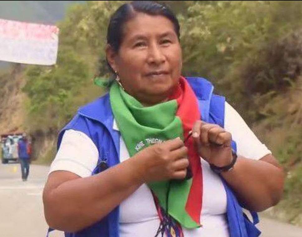 ¿Quién era Carmelina Yule Paví, la lideresa indígena asesinada en Toribio, Cauca?