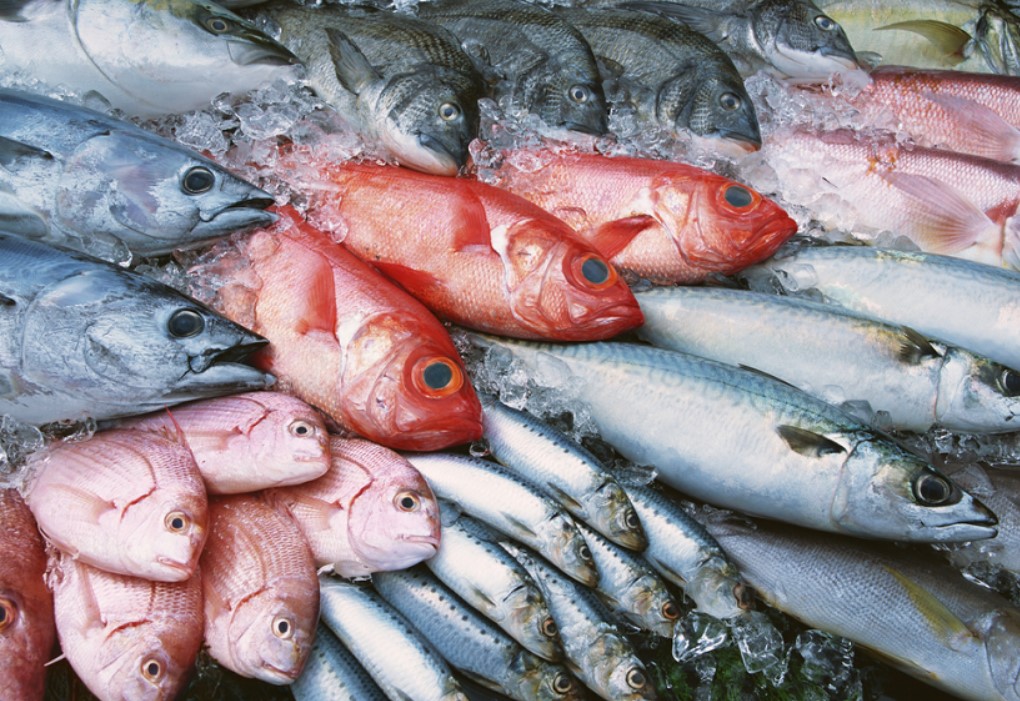 Los pescados más recomendados para la Semana Santa