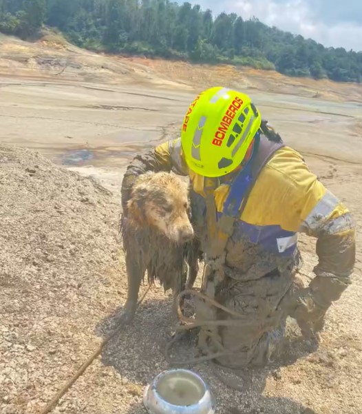 El heroico rescate de un perro atrapado en la laguna de Guatapé