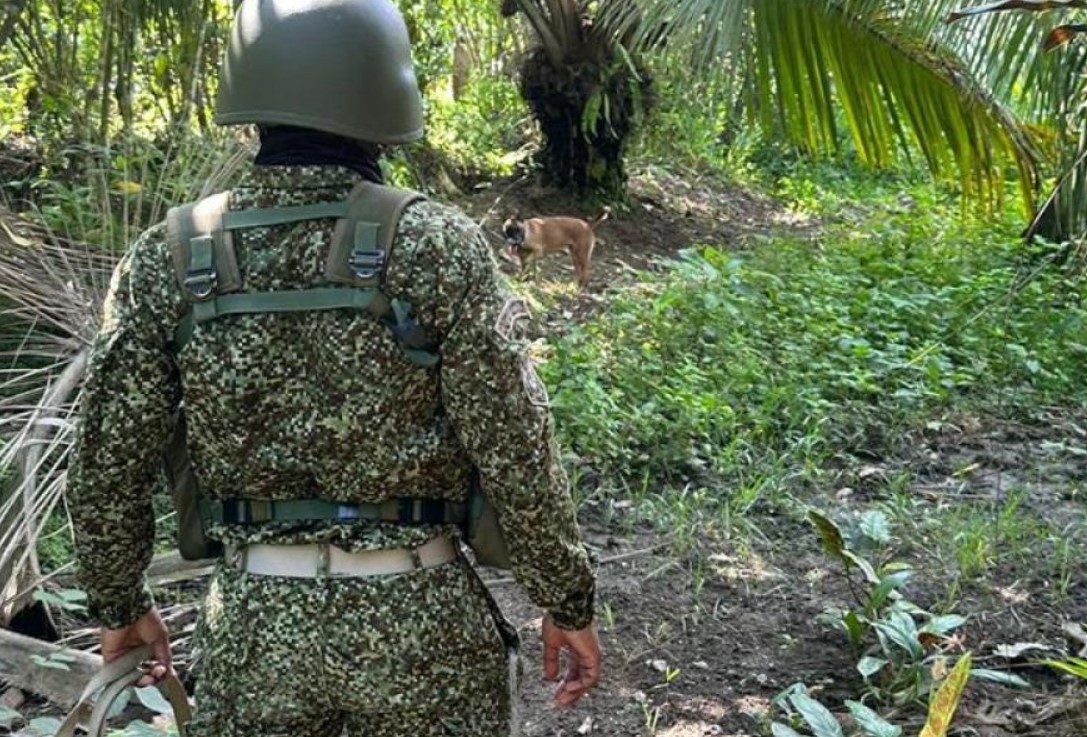 Tropas de la Armada colombiana frustran plan de atentado en Tumaco durante Semana Santa