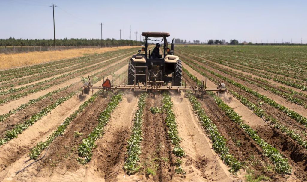 La economía estadounidense registró un crecimiento del 3,1% durante el año 2023. Foto: El País