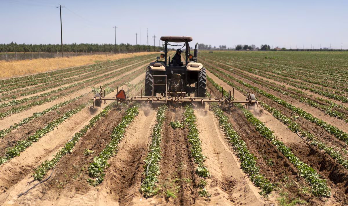 La economía estadounidense registró un crecimiento del 3,1% durante el año 2023. Foto: El País