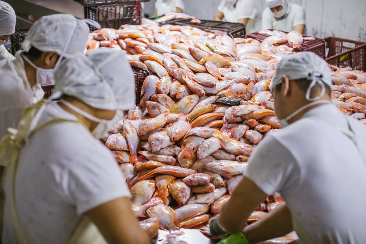 Un total de 88 empresas de 17 departamentos lograron colocar sus productos en 60 mercados internacionales. Foto: minagricultura