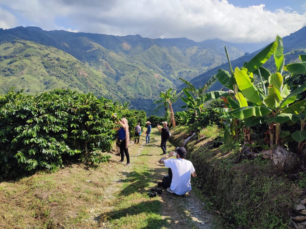 La liquidación del café pasará de 88 kg a 94 kg por saco de 70 kg de café excelso Foto: ENS