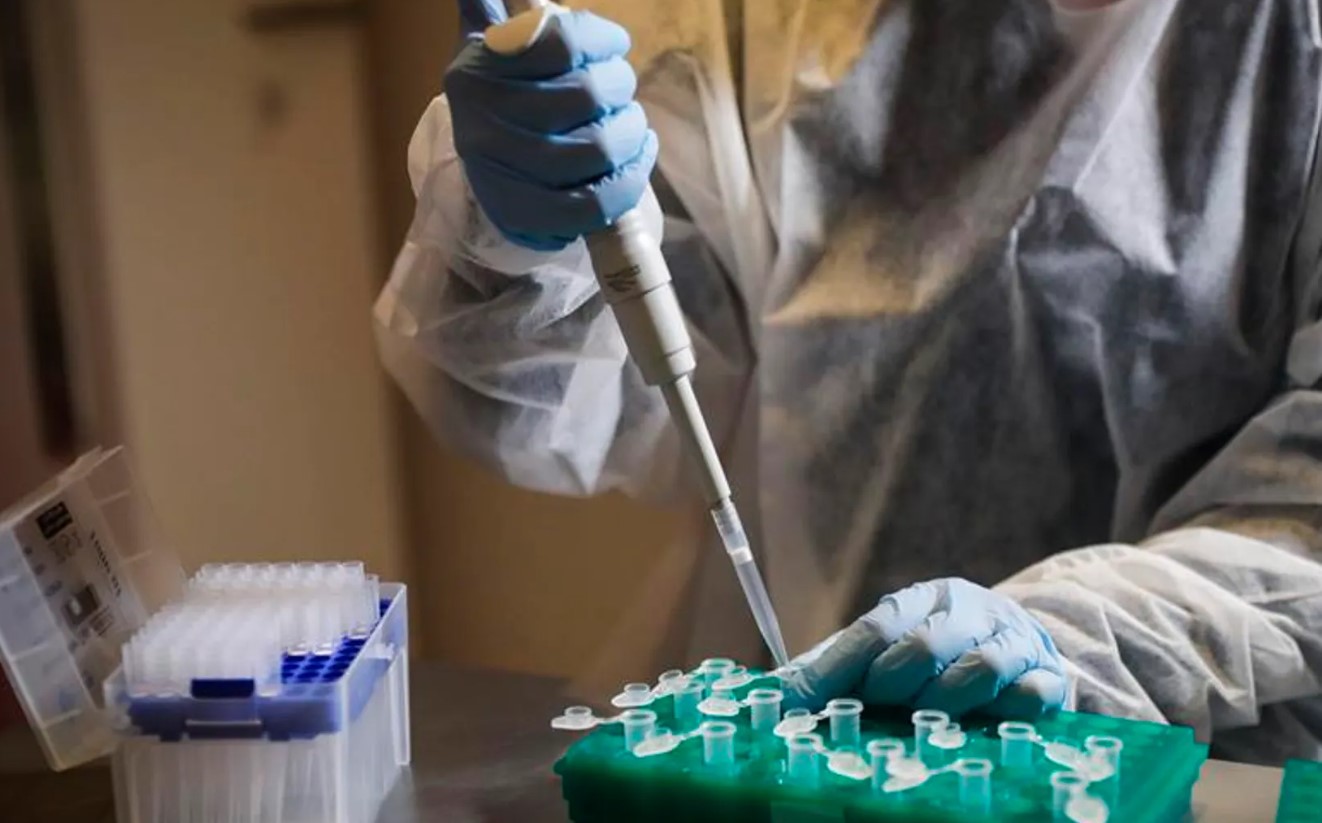 Proyecto innovador contra el cáncer a partir de células artificiales