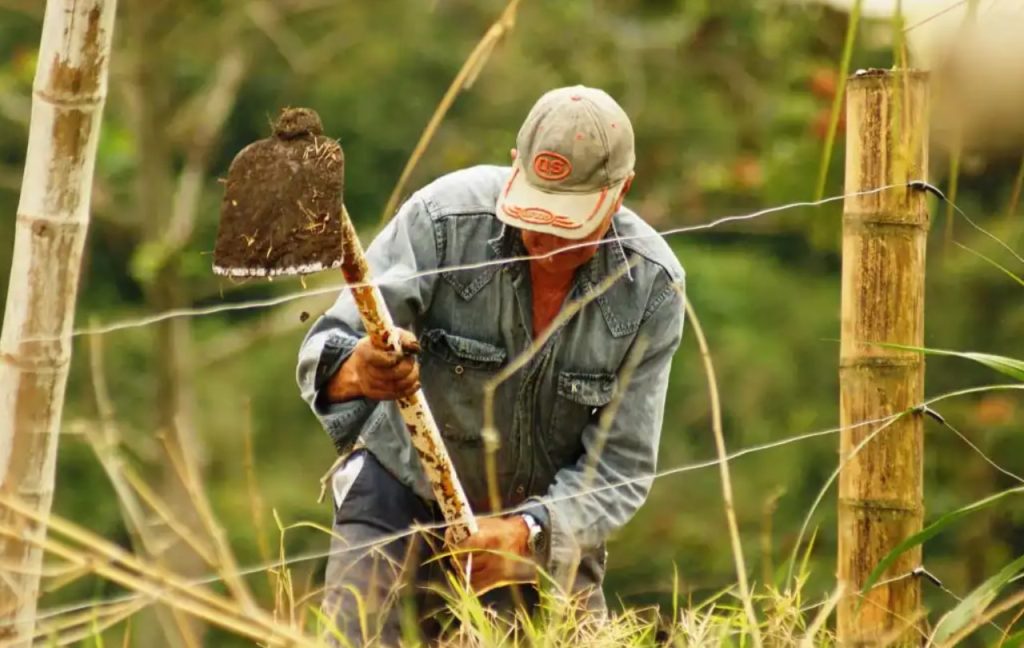 La razón por la que precios de insumos agropecuarios en Colombia marcaron a la baja