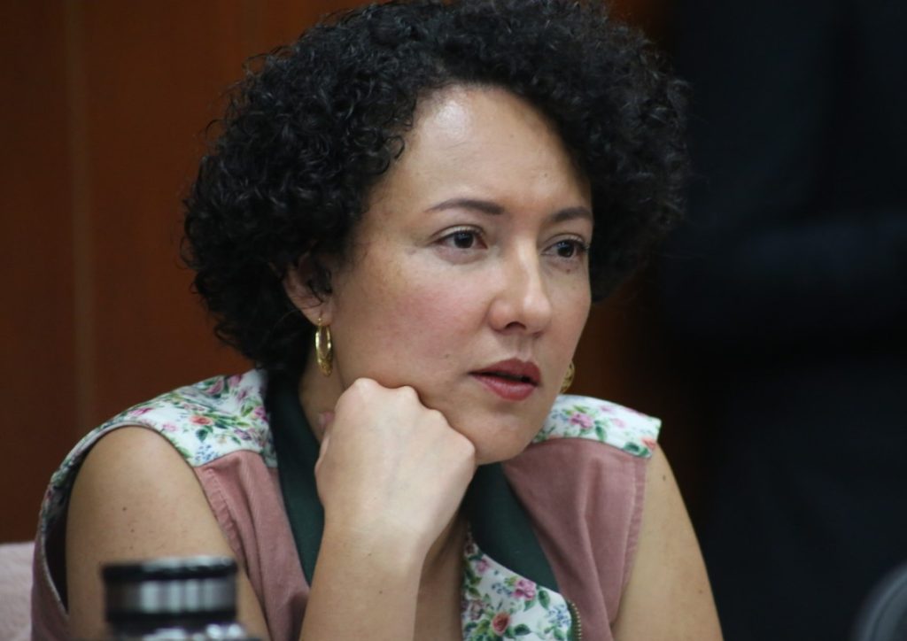 Senadora Isabel Zuleta abre debate sobre reelección de Gustavo Petro en entrevista