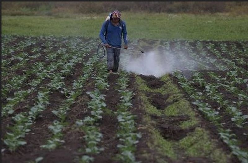 El nuevo arancel busca impulsar la producción nacional de sulfato de amonio Foto: conexiondiario