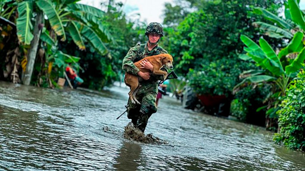 Con esta medida se beneficiará a más de 244 mil familias Foto: MinDefensa