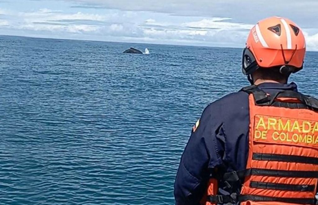Rescate en Puerto Velero: Armada de Colombia Salva a Cuatro Náufragos