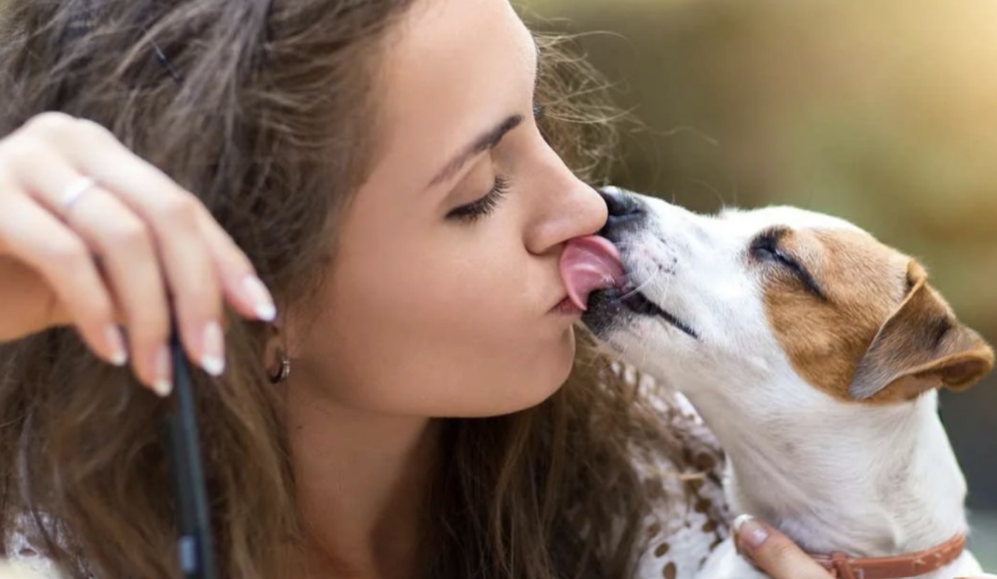 ¡Cuidado con los besos de sus mascotas! Estas son las enfermedades que transmite la saliva de los perros