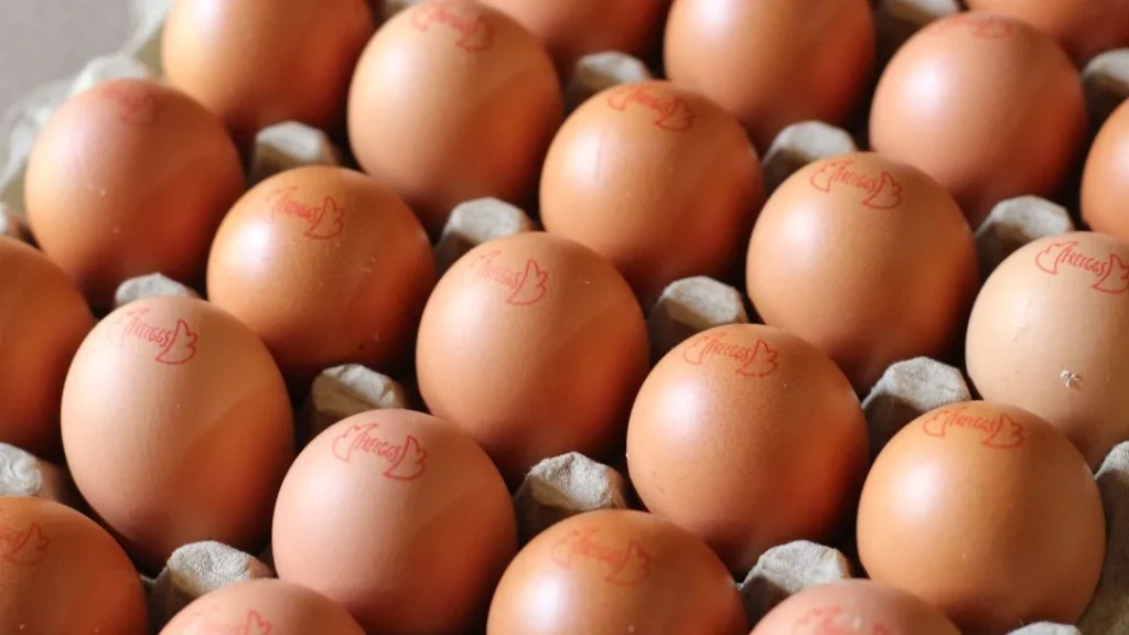 El consumo per cápita de huevo en el país alcanza las 336 unidades anuales. Foto: Agronegocios