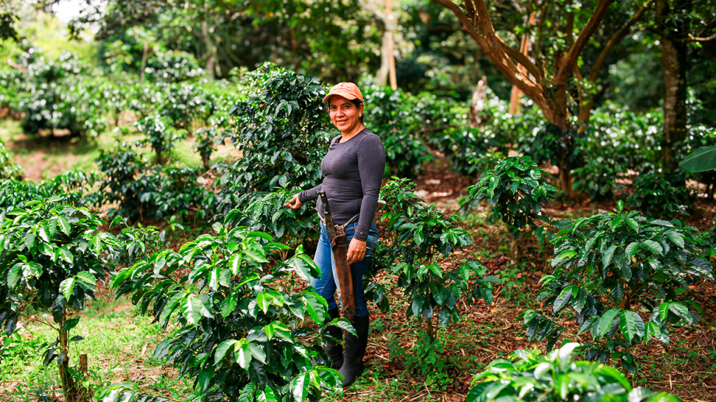 Entre enero y abril de 2024 se vendieron al exterior 1.942.689 toneladas Foto: Presidencia