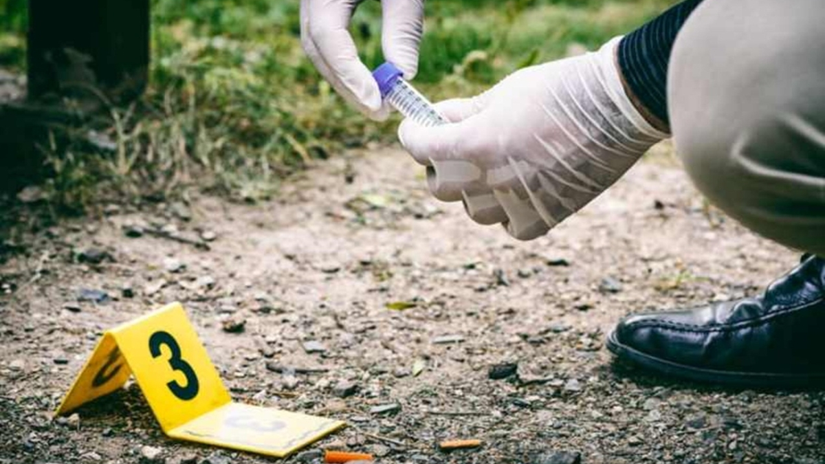 Imagen de Referencia Foto: lafm