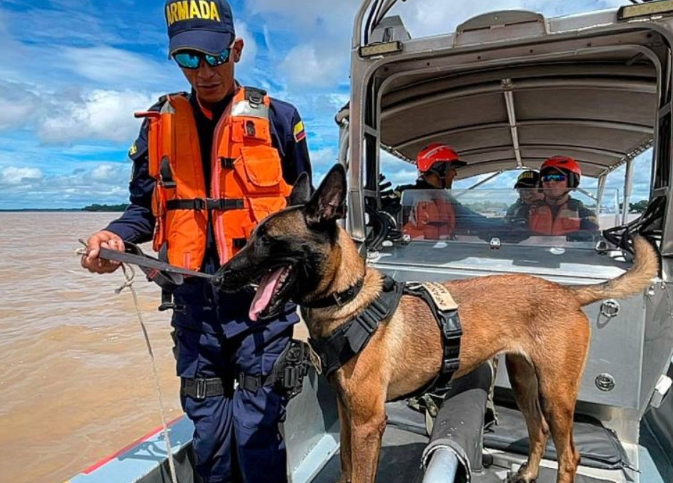 Narcos le pusieron precio a la cabeza de la perra antidrogras de la Armada Nacional