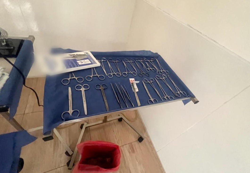 Judicializados falsos veterinarios por maltrato animal en Cali