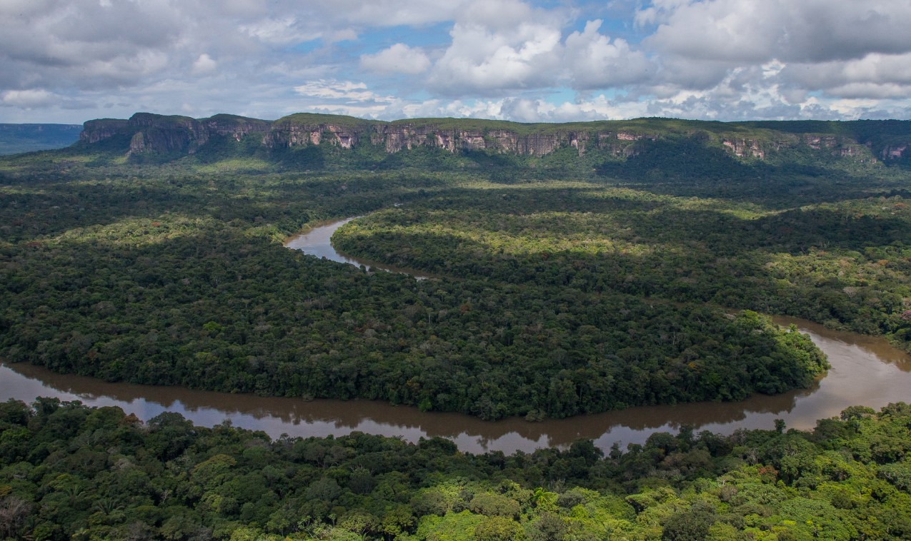 Desmantelan operaciones ilegales de deforestación y narcotráfico en la Serranía de Chiribiquete